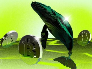 After Crypto Whales’ $6.2 Billion Purchase: Can Bitcoin Surge to $57,000?