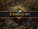 Binance Plans To End Support For Bitcoin Ordinals NFTs