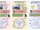 This AI Paper Introduces a Novel and Significant Challenge for Vision Language Models (VLMs) Termed Unsolvable Problem Detection (UPD)